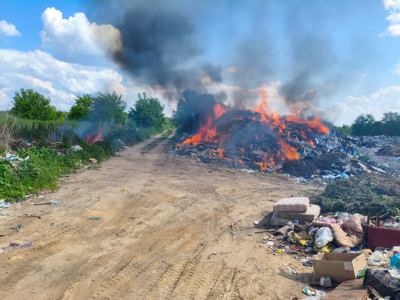 Фотографія гортить сміттєзвалище та трава